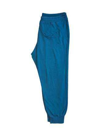 Women's M - Blue Patagonia Women’s Ahnya Joggers